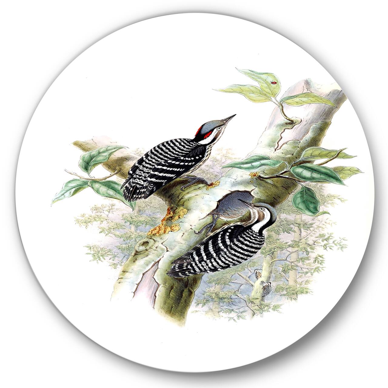 Designart - Vintage Birds In The Wild V - Traditional Metal Circle Wall Art